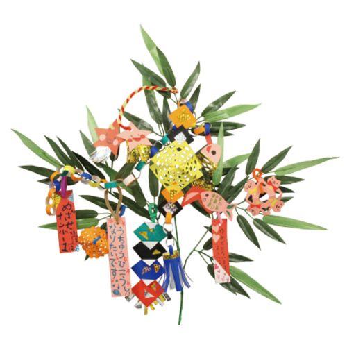 アーテック 七夕個人セット 1570 [イベント][春・夏][行事][七夕][笹][祭][短冊][7月7日][イベント][季節行事][工作]