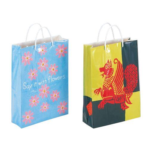 アーテック 紙の手さげ袋つくり B 組立済 13020 [手提げ][袋][バッグ][パッケージデザイン][オリジナル][手作り][美術][自由工作]