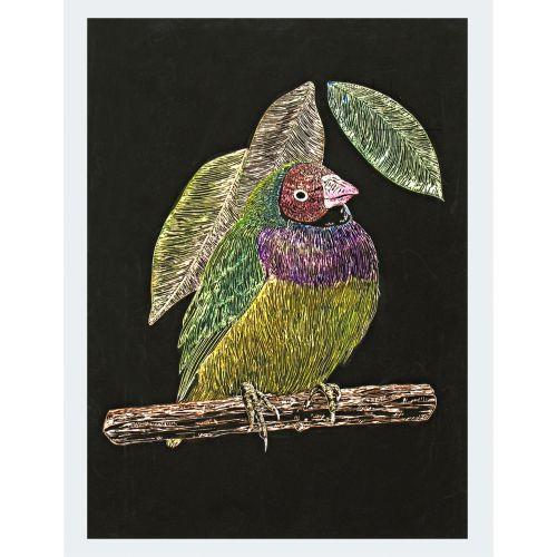 アーテック スクラッチボードex スクレーパー 13467