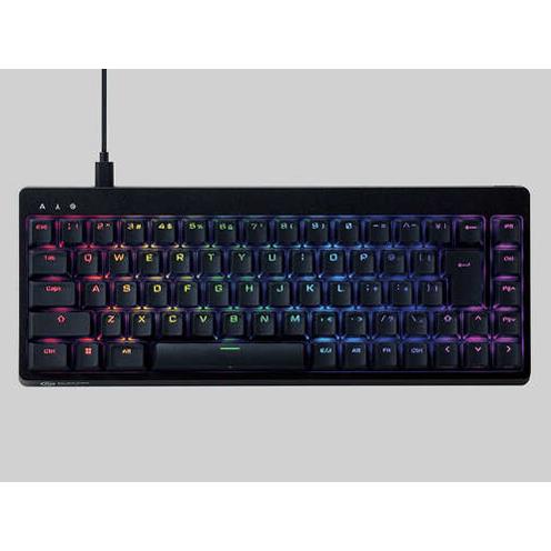 エレコム(ELECOM) TKVK600ABK ブラック ゲーミングキーボード USB有線 71キー 日本語配列 GAMING V custom