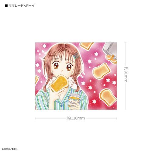 グルマンディーズ(gourmandis) RBN-11A ママレード・ボーイ りぼん 70周年 キャラスタムステッカー ビッグ