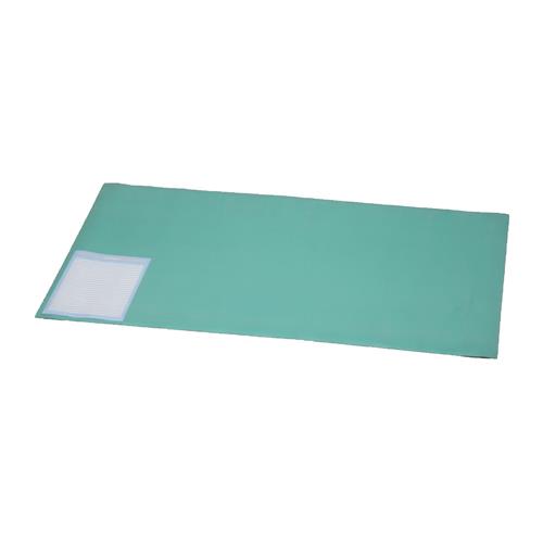 アイリスオーヤマ(Iris Ohyama) DMT-9959PZ ナチュラル/緑 デスクマット 99×59cm