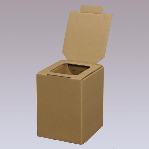 アイリスオーヤマ(Iris Ohyama) BTS-250 簡易トイレ