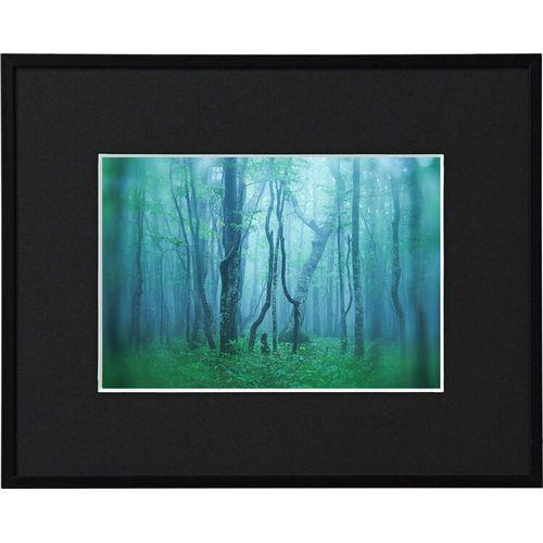 ケンコー(Kenko) AGY-2L-BK ブラック ギャラリー 2L