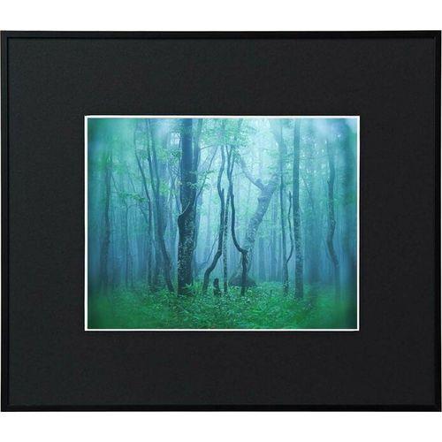 ケンコー(Kenko) AGY-6-BK ブラック ギャラリー 六切