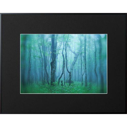 ケンコー(Kenko) AGY-W4-BK ブラック ギャラリー ワイド四切