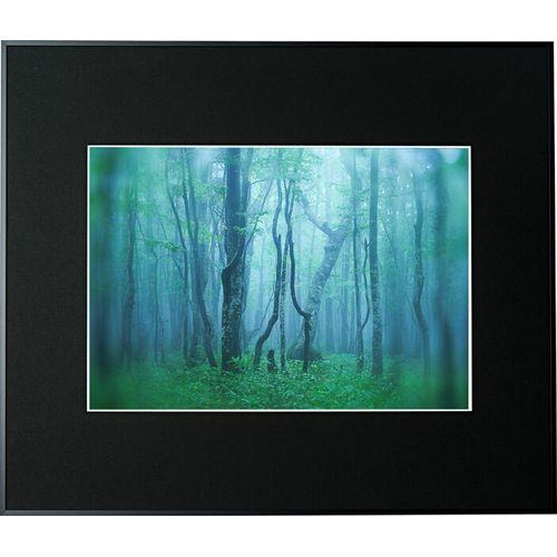 ケンコー(Kenko) AGY-A3-BK ブラック ギャラリー A3