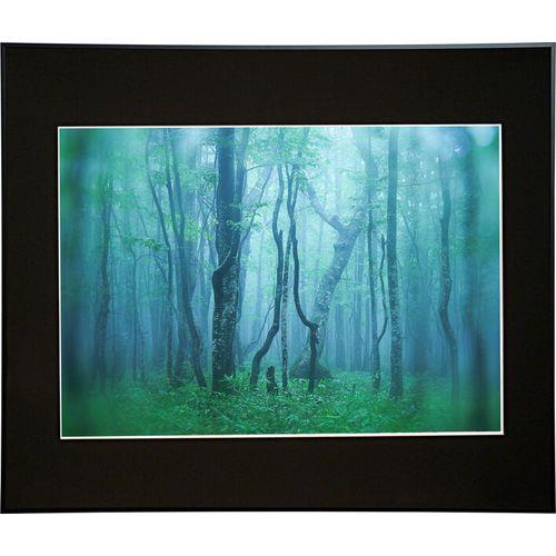 ケンコー(Kenko) AGY-A2-BK ブラック ギャラリー A2