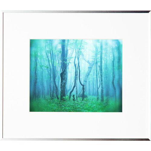 ケンコー(Kenko) AGY-6-SV シルバー ギャラリー 六切