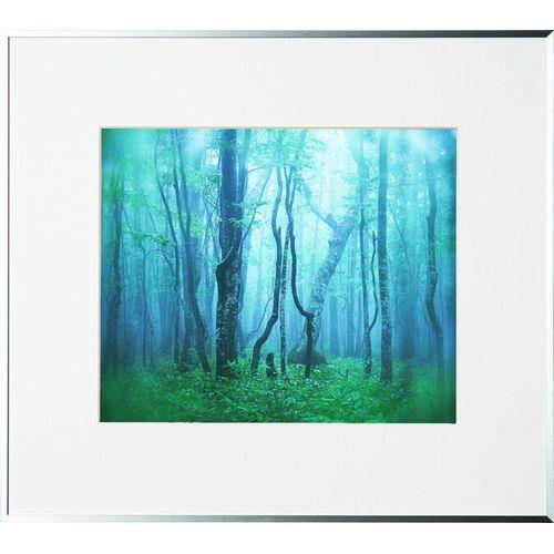 ケンコー(Kenko) AGY-4-SV シルバー ギャラリー 四切