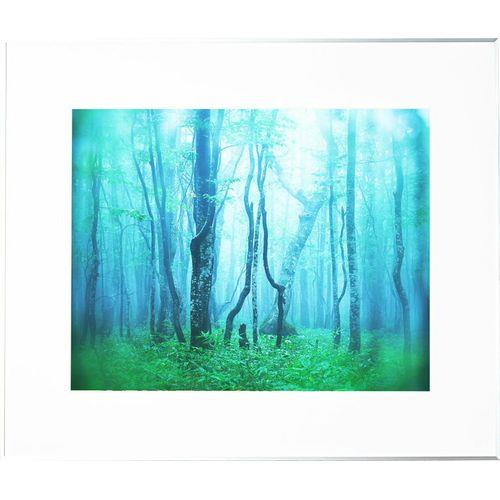 ケンコー(Kenko) AGY-Z-SV シルバー ギャラリー 全紙