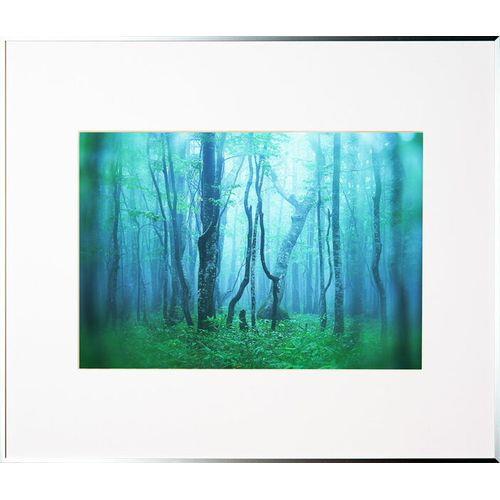 ケンコー(Kenko) AGY-A3-SV シルバー ギャラリー A3