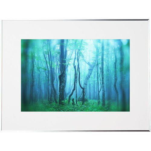 ケンコー(Kenko) AGY-A3N-SV シルバー ギャラリー A3ノビ