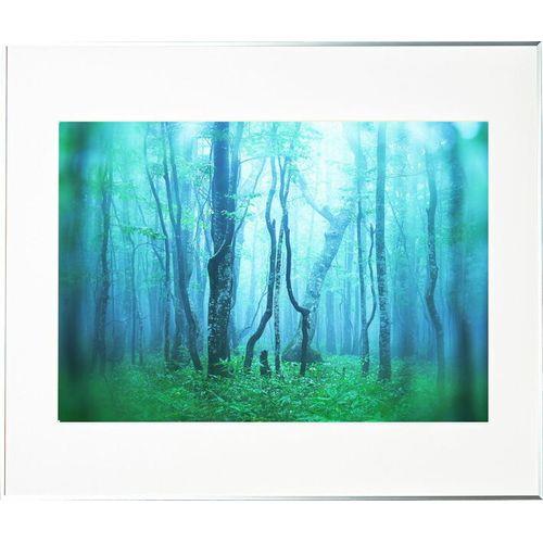 ケンコー(Kenko) AGY-A2-SV シルバー ギャラリー A2