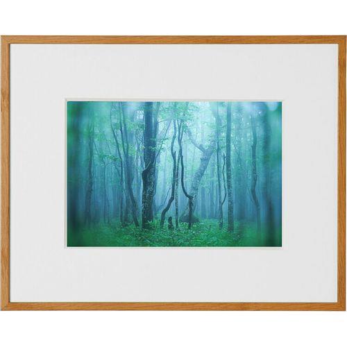 ケンコー(Kenko) AGY-2L-NA ナチュラル ギャラリー 2L