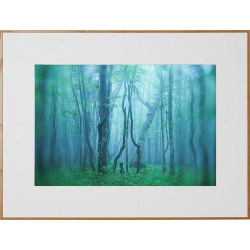 ケンコー(Kenko) AGY-A3N-NA ナチュラル ギャラリー A3ノビ