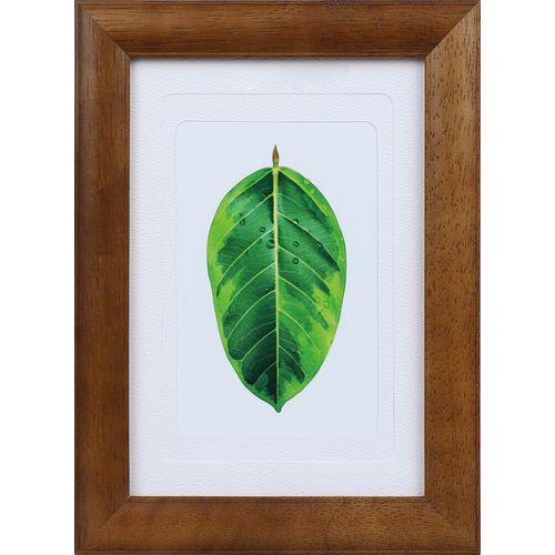 ケンコー(Kenko) PS-GM-BR ブラウン 写真立て ゴムの木 L・ハガキ・2L兼用