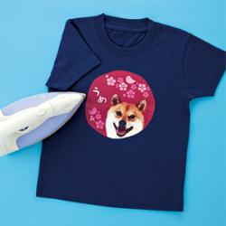 サンワサプライ JP-TPRCLN アイロンプリント紙 カラー布用 A4 2枚