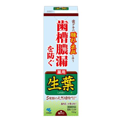 小林製薬 生葉 しょうよう a 100g