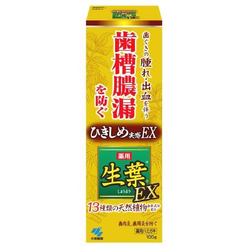 小林製薬 生葉EX 100g