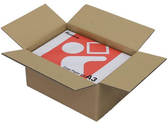 その他 小型段ボール箱 ダブルフルート A3用 450×330×220 10枚[代引不可]【仕入先直送品Ａ】