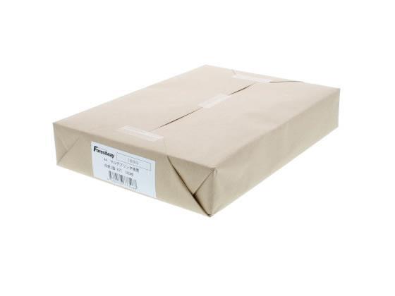 Forestway プリンタ帳票マルチタイプA4 白紙 3面6穴 500枚[代引不可]【仕入先直送品Ａ】