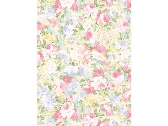 タカ印 包装紙 楽園 半才判 528×750mm 50枚[代引不可]【仕入先直送品Ａ】