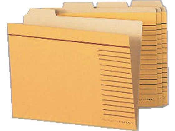 ライオン事務器 カットフォルダー B5 4山 5組 B5-4F-R-20P[代引不可]【仕入先直送品Ａ】