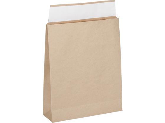 スーパーバッグ 宅配袋 茶無地 大 100枚[代引不可]【仕入先直送品Ａ】