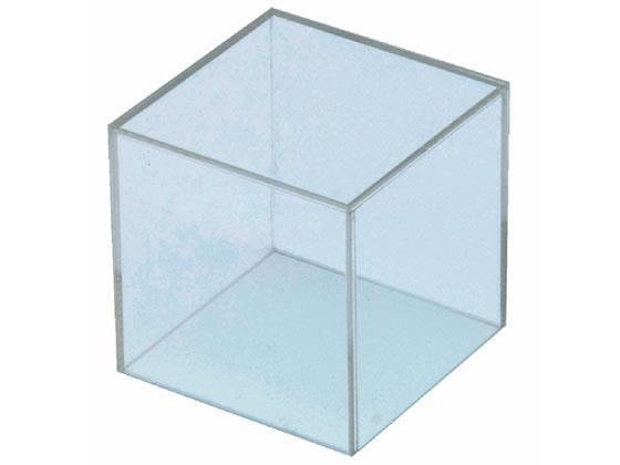 クルーズ アクリルボックス 5面体 25cm角[代引不可]【仕入先直送品Ａ】