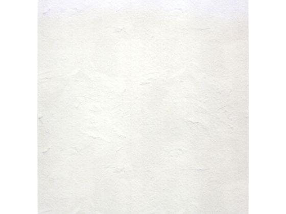 カモ井加工紙 mt CASA FLEECE 漆喰[代引不可]【仕入先直送品Ａ】