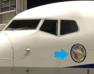 【特製シールがもらえる！】退役したB737-700型機のシートカバーから作った「ガジェットポーチ」