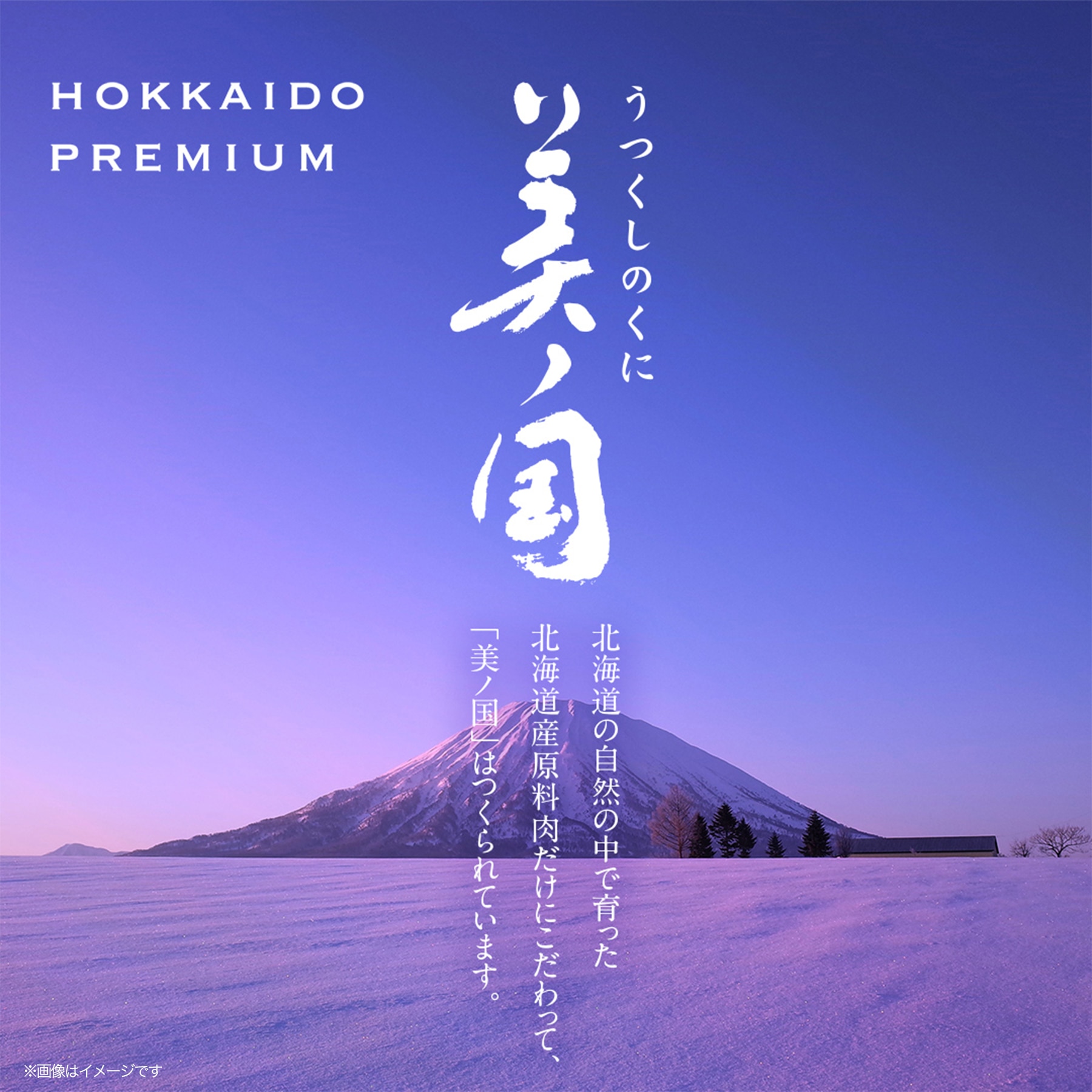 【日本ハム公式】 北海道 プレミアム 美ノ国 UKH-55 2025年お歳暮