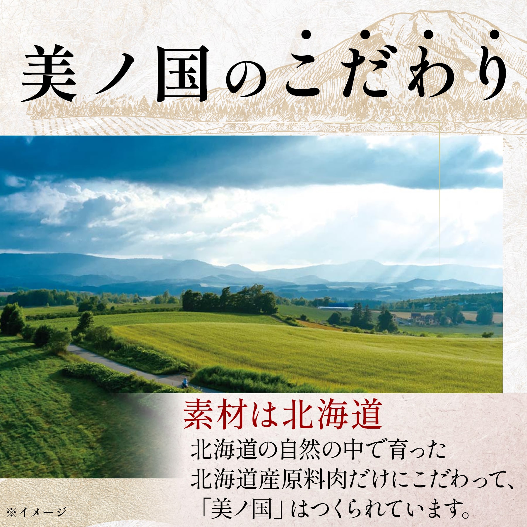 【日本ハム公式オンライン限定】北海道 プレミアム 美ノ国 UKH-51EC 2025年お歳暮