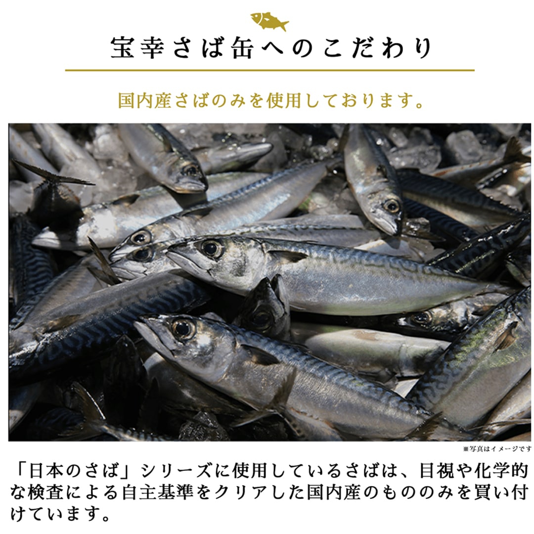 日本のさば 水煮 食塩不使用 190g×24缶