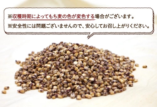 \送料無料/国産もち麦 1kg(250g×4袋) タマチャンショップ