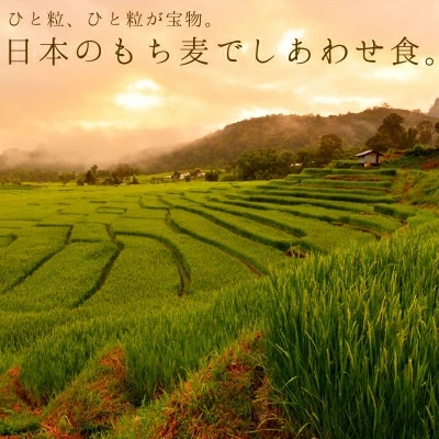 \送料無料/国産もち麦 1kg(250g×4袋) タマチャンショップ
