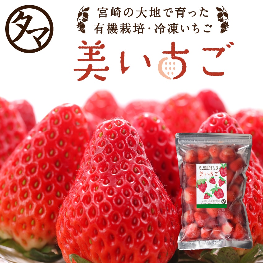 美いちご(冷凍いちご) 1kg(500g×2) タマチャンショップ