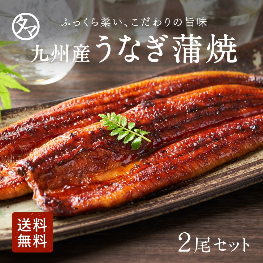 \送料無料/九州産うなぎ蒲焼2尾セット 土用丑の日 タマチャンショップ