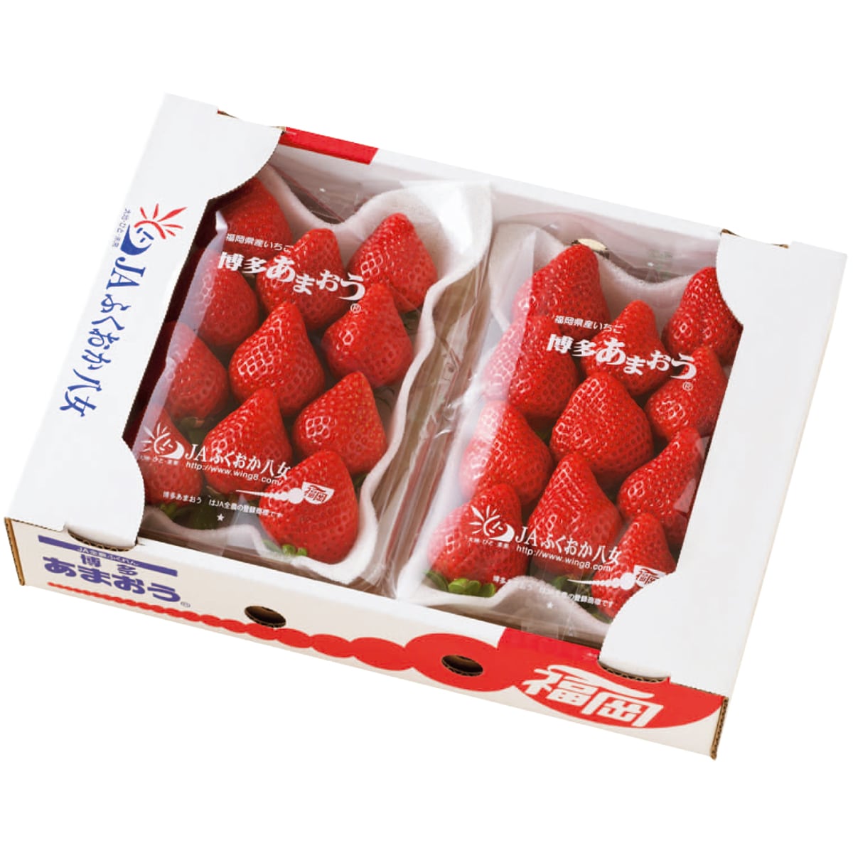 お歳暮 御歳暮 早割 冬ギフト 帰歳暮 ギフト プレゼント 送料無料 ギフト 2025 JAふくおか八女 博多あまおう 「R15-12」 フルーツ 果物 JAふくおか八女 博多あまおう いちご イチゴ R15-12【GF】