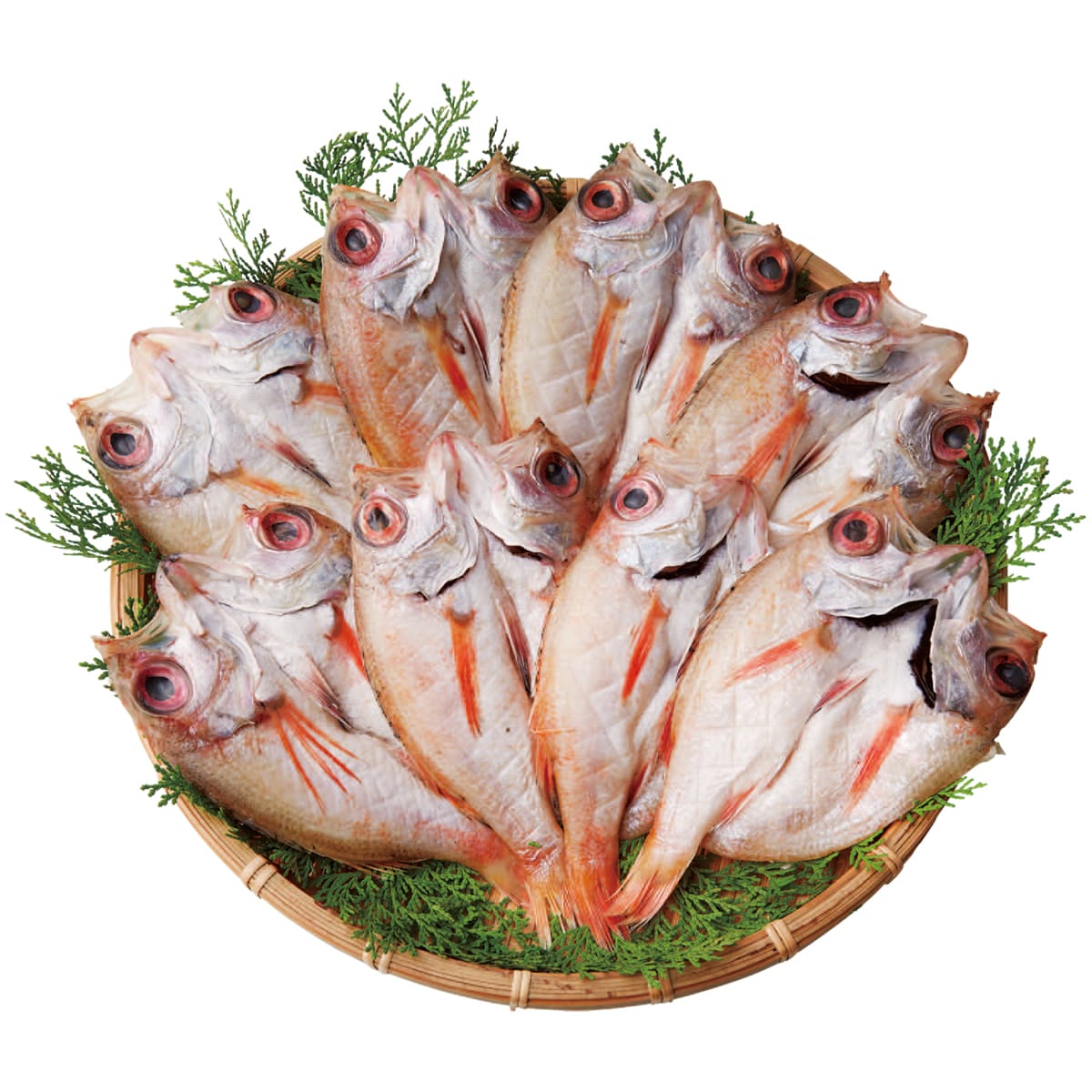 お歳暮 御歳暮 早割 冬ギフト 帰歳暮 ギフト プレゼント 送料無料 ギフト 2025 島根県産 天然のどぐろ開き 「R4-13」 グルメ 海鮮 シーフード 干物 ひもの 高級魚 のどぐろ 開き干し R4-13【GF】