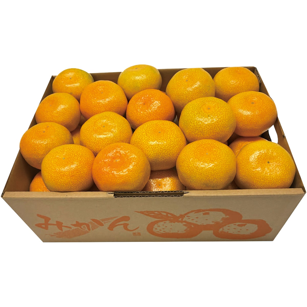 お歳暮 御歳暮 早割 冬ギフト 帰歳暮 ギフト プレゼント 送料無料 ギフト 2025 福岡県産 糸島みかん 「B13-8」 フルーツ 果物 みかん ミカン 蜜柑 福岡県産 B13-8【GF】