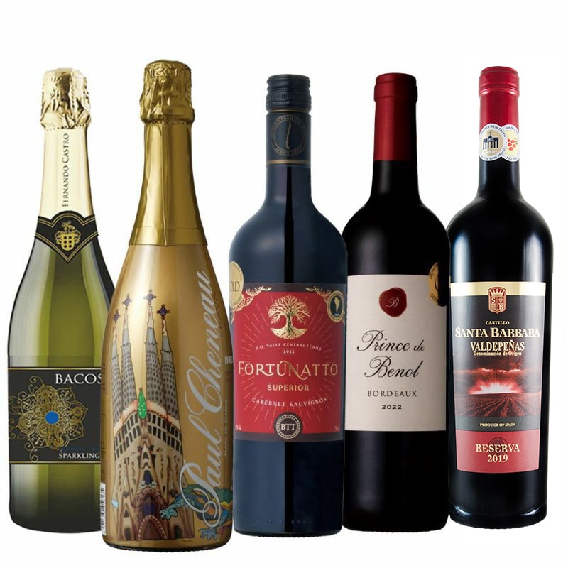 熟成カヴァ入り！ 辛口泡と赤ワインの贅沢セレクション5本セット【FD】