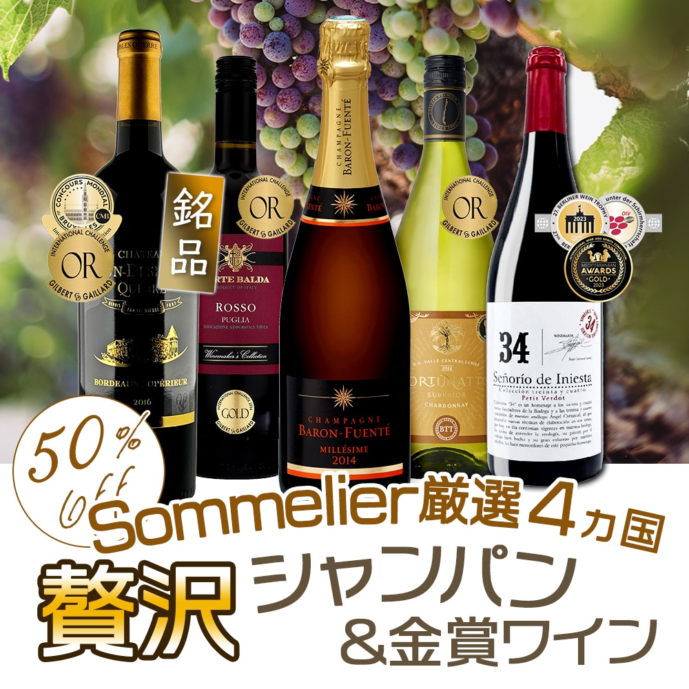 ワインソムリエ厳選　ミレジメシャンパン＆金賞ワイン　赤白泡5本セット【FD】