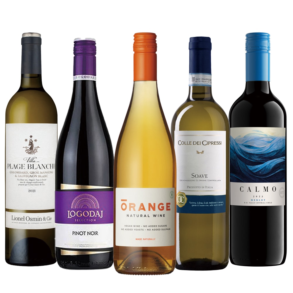 5か国産地厳選福袋！赤白オレンジワイン飲み比べ5本セット【FD】