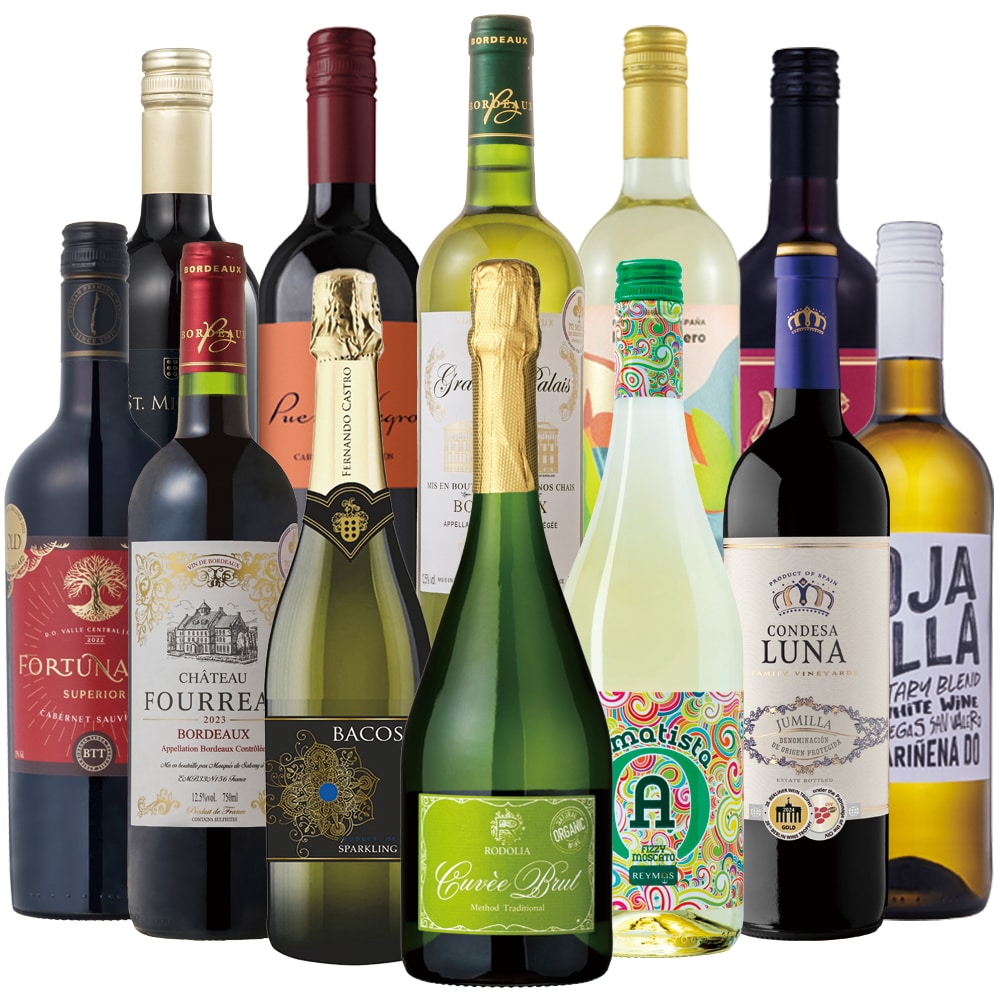 爽やかスパークリングワイン入り！大奉仕赤白泡ワイン12本セット【FD】