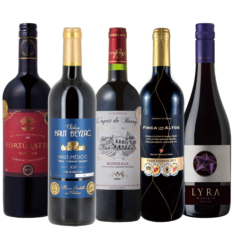 銘醸地オー・メドック・クリュ・ブルジョワ入り！厳選赤ワイン5本セット【FD】
