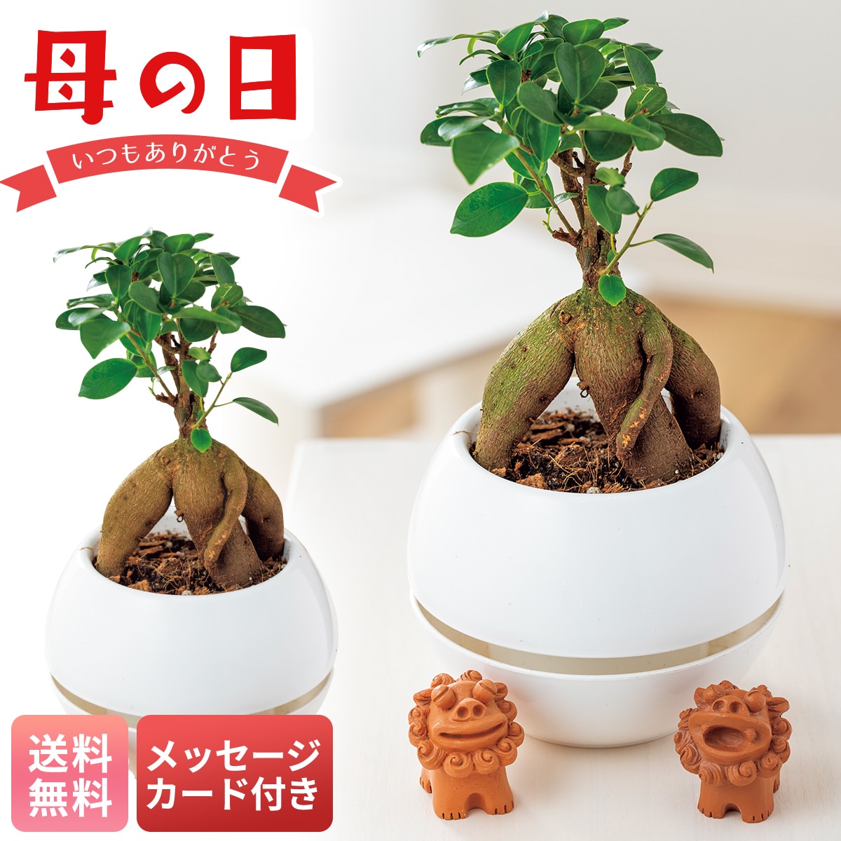 母の日 早割 ギフト プレゼント 贈り物 2026 送料無料ガジュマル シーサーMFY37-2【GF】