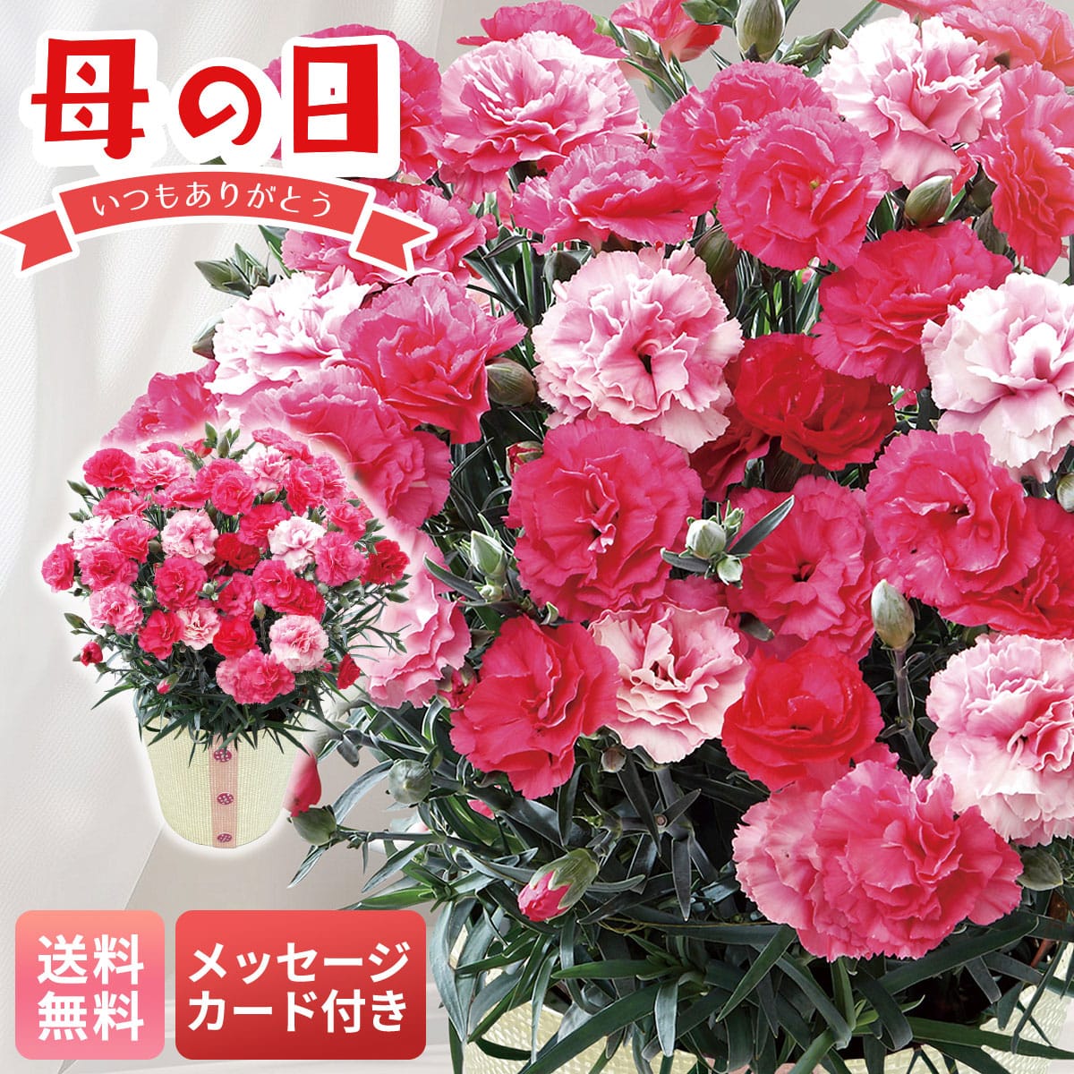 母の日 早割 ギフト プレゼント 贈り物 2026 送料無料カーネーション（さくらもなか）MR37-3【GF】