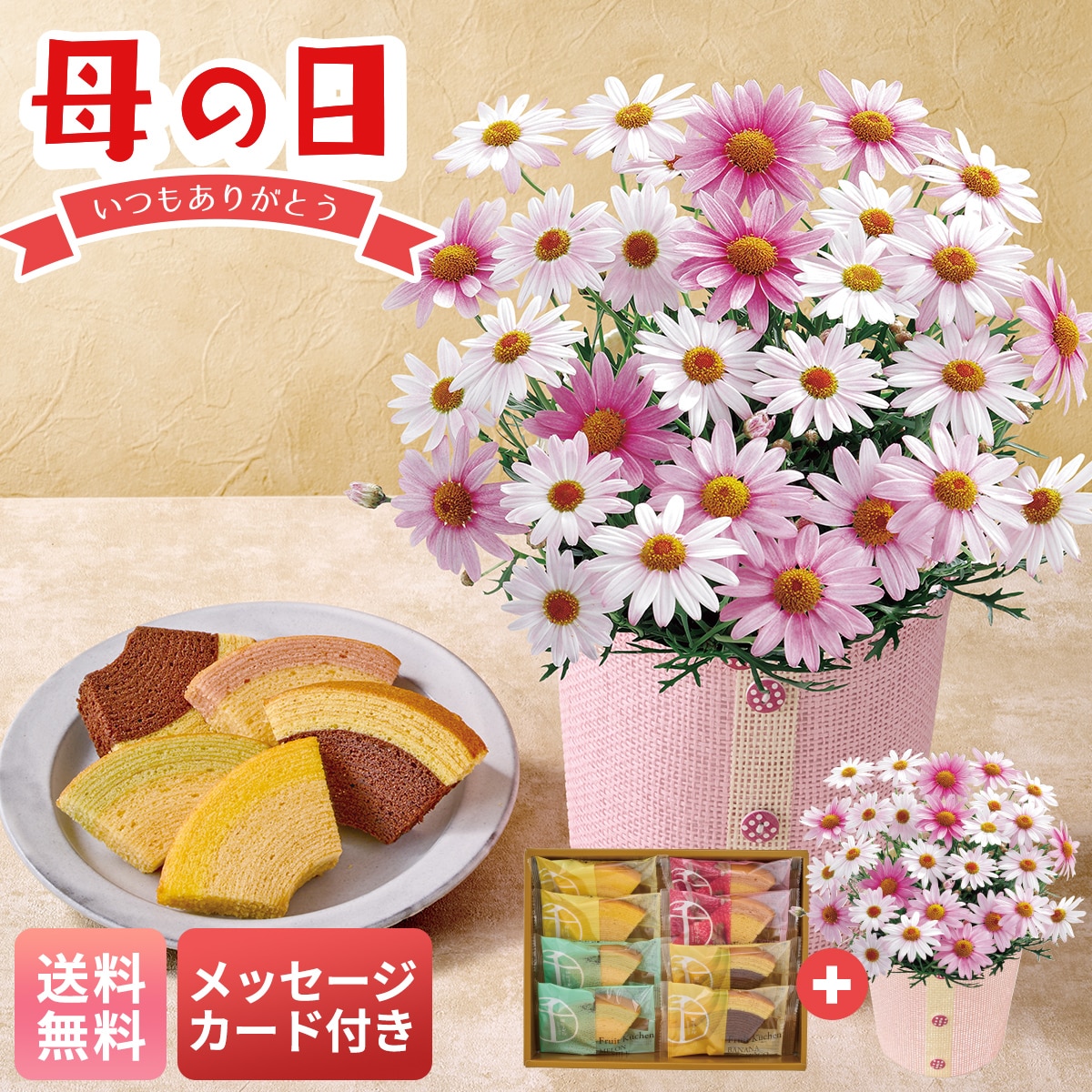 母の日 早割 ギフト プレゼント 贈り物 2026 送料無料マーガレット（さくらべーる）と「銀座千疋屋」銀座フルーツクーヘンC40-3【GF】